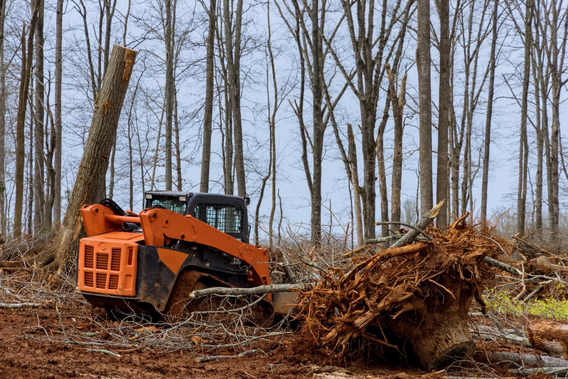Same Huntsville property cleared and mulched after one pass